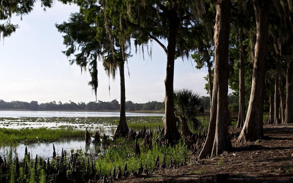Star Island Resort And Club - Near Disney Kissimmee Bagian luar foto